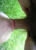 tief rein 4 tief rein 4