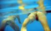 muschi im pool 2 muschi im pool 2