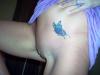 *** GEILE FICKMUSCHI *** *** GEILE FICKMUSCHI ***