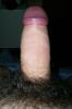 suche friseuse