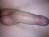 dicke