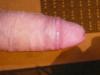 Wer findet Ihn lecker?