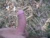 wald10