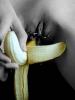 banana splitt 3 banana splitt 3