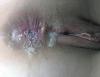 Meine geile Stute