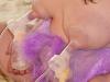 milch016