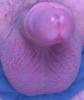 hat wer lust