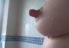 nippel