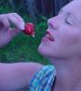 erdbeeren mit sahne 7 erdbeeren mit sahne 7